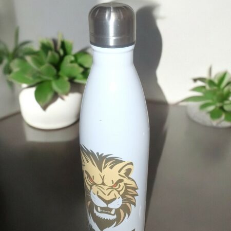 Bouteille isotherme en inox