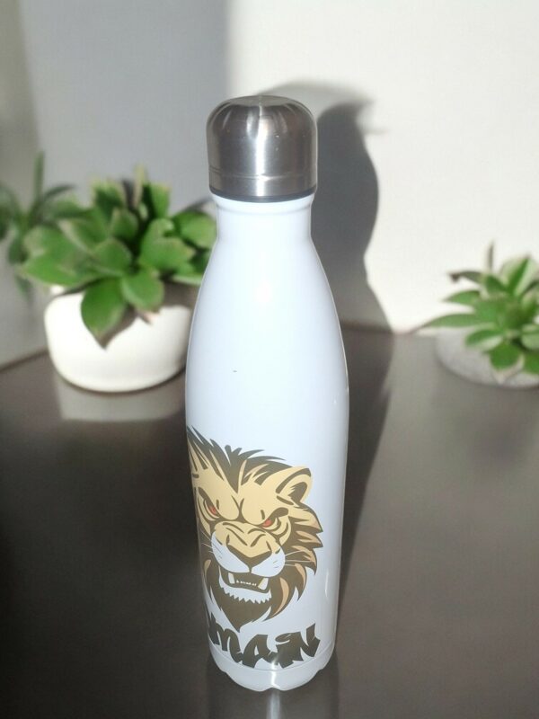 Bouteille isotherme en inox